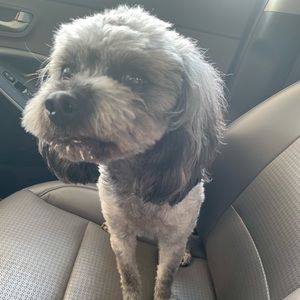 Meet your Posher, Megan